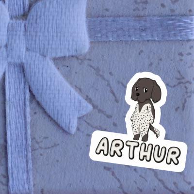 Arthur Sticker Kleiner Münsterländer Image