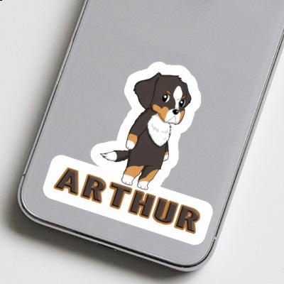 Bernese Mountain Dog Sticker Arthur Gift package Image