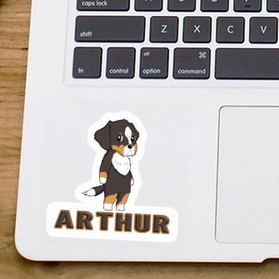 Berner Sennenhund Aufkleber Arthur Gift package Image