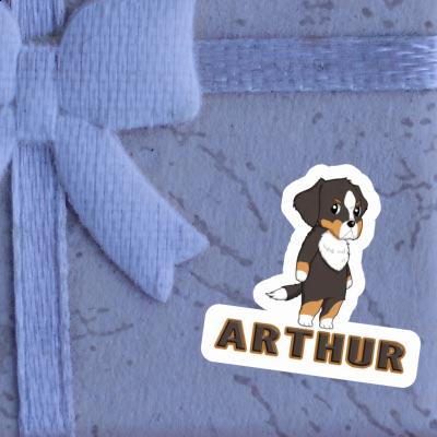 Arthur Autocollant Bouvier bernois Gift package Image