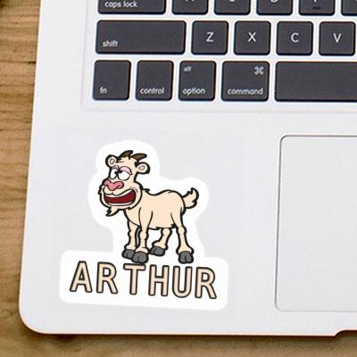 Ziege Sticker Arthur Laptop Image