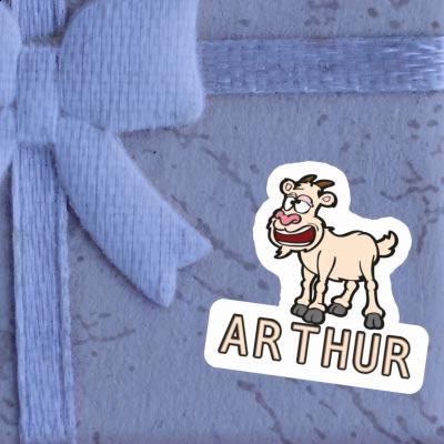 Sticker Goat Arthur Gift package Image