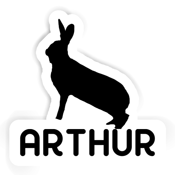 Rabbit Sticker Arthur Gift package Image