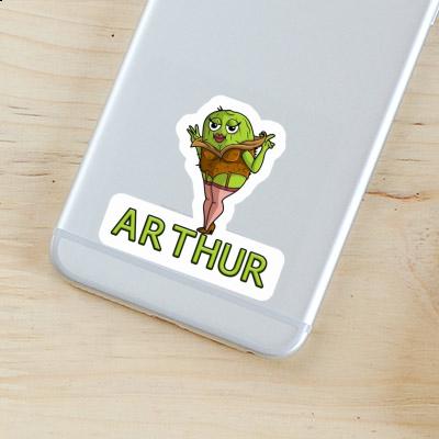 Autocollant Kiwi Arthur Image