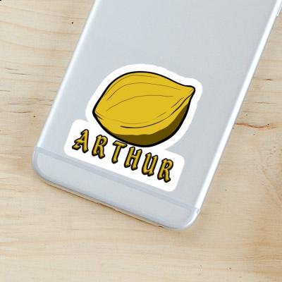 Arthur Sticker Nut Image