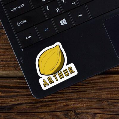 Arthur Sticker Nut Gift package Image