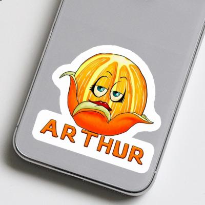 Autocollant Arthur Orange Gift package Image