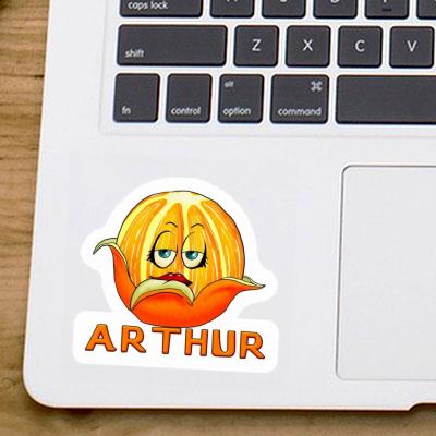 Orange Sticker Arthur Gift package Image