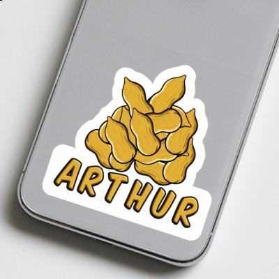 Sticker Arthur Nut Laptop Image