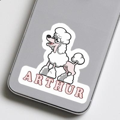 Arthur Autocollant Caniche Laptop Image