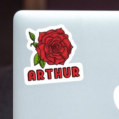 Arthur Sticker Rose Image