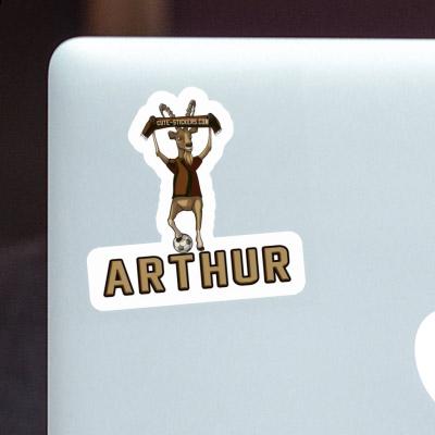 Capricorn Sticker Arthur Gift package Image