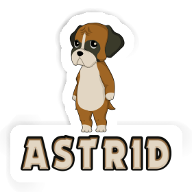 Astrid Sticker Boxer Image