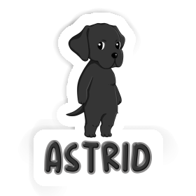 Autocollant Astrid Labrador Image