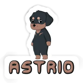 Rottweiler Autocollant Astrid Image