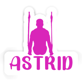 Ring gymnast Sticker Astrid Image