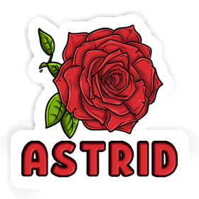 Rose Autocollant Astrid Image