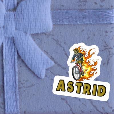 Autocollant Astrid VTTiste Gift package Image