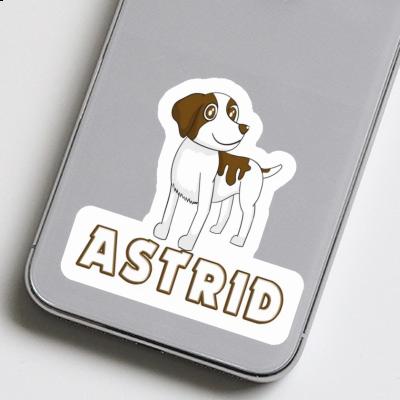 Spaniel Aufkleber Astrid Gift package Image