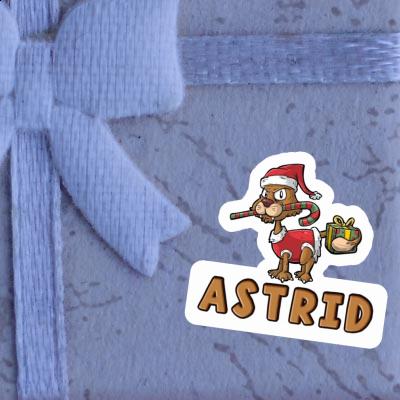 Autocollant Chat Astrid Gift package Image