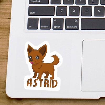 Sticker Astrid Chihuahua Gift package Image