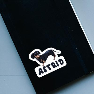 Astrid Sticker Dachshund Gift package Image