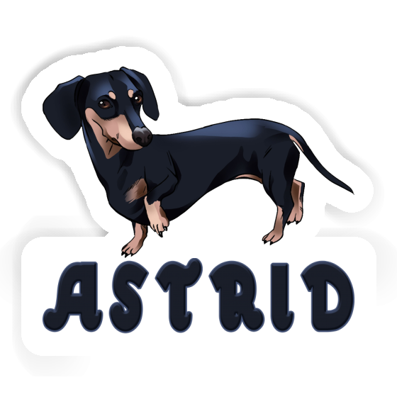 Astrid Sticker Dachshund Laptop Image