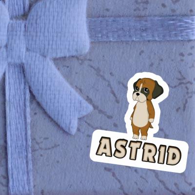 Sticker Astrid Boxer Gift package Image