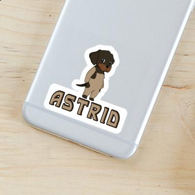 Sticker Astrid German Wirehaired Pointer Gift package Image