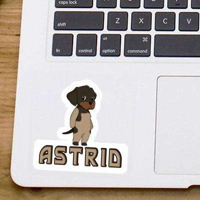 Sticker Astrid German Wirehaired Pointer Gift package Image