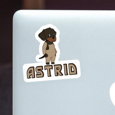 Autocollant Chien d'arrêt allemand à poil du Astrid Laptop Image