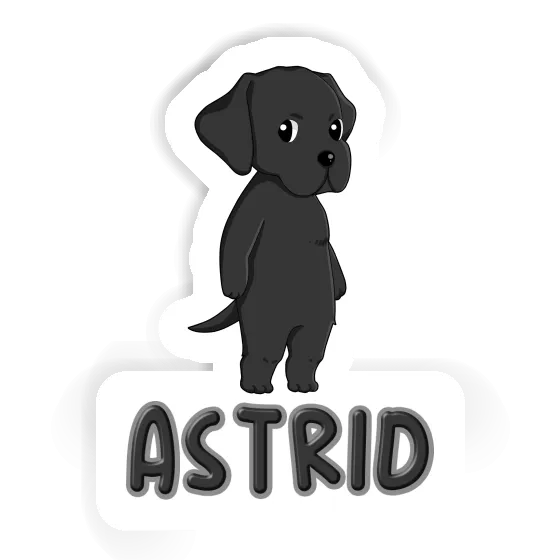 Aufkleber Labrador Astrid Gift package Image