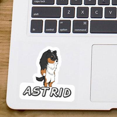 Autocollant Sheltie Astrid Image