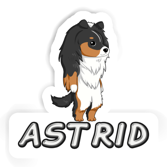 Autocollant Sheltie Astrid Laptop Image