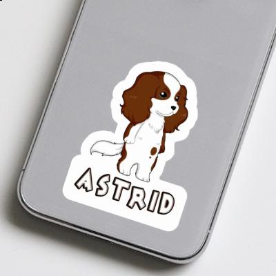 Aufkleber Astrid Cavalier King Charles Spaniel Laptop Image