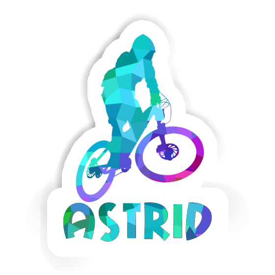 Downhiller Sticker Astrid Gift package Image