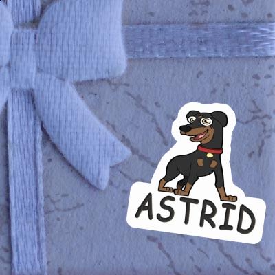 Autocollant Pinscher Astrid Image