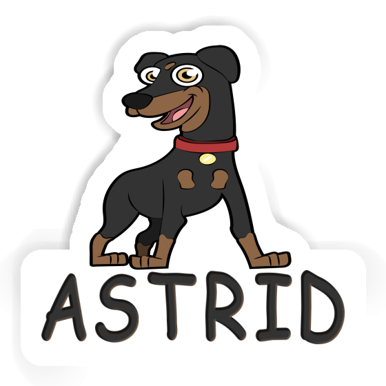 Autocollant Pinscher Astrid Gift package Image