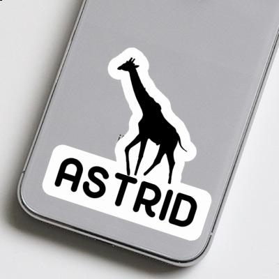 Autocollant Girafe Astrid Gift package Image