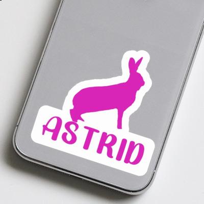 Lapin Autocollant Astrid Notebook Image