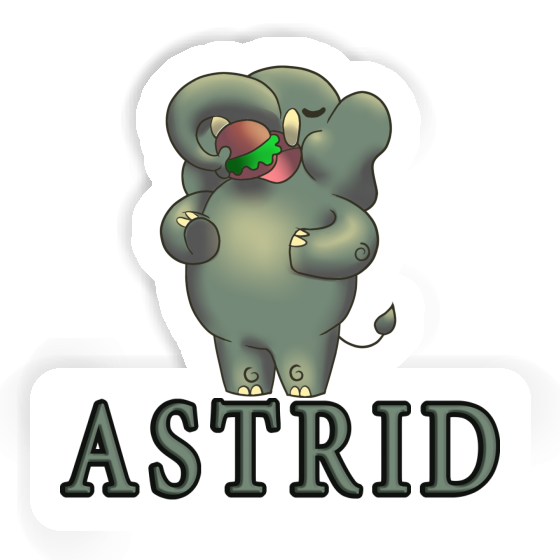 Astrid Sticker Elefant Gift package Image