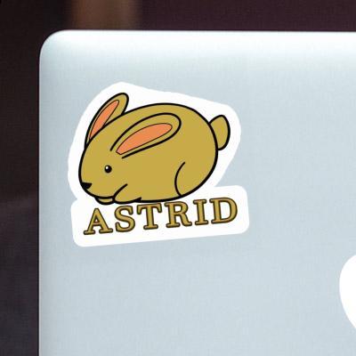 Sticker Hase Astrid Gift package Image