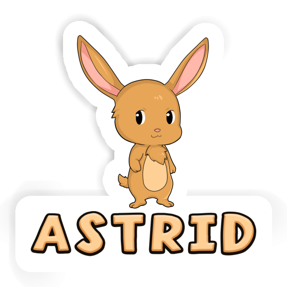 Astrid Autocollant Lapin Gift package Image