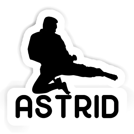 Sticker Astrid Karateka Gift package Image