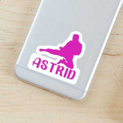 Karateka Sticker Astrid Gift package Image