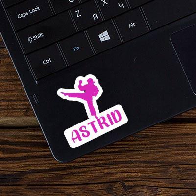 Astrid Sticker Karateka Gift package Image