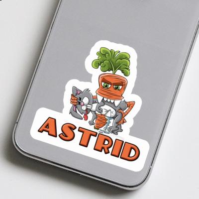 Astrid Sticker Monster Carrot Gift package Image