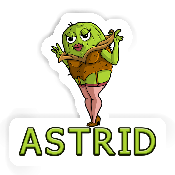 Autocollant Astrid Kiwi Gift package Image