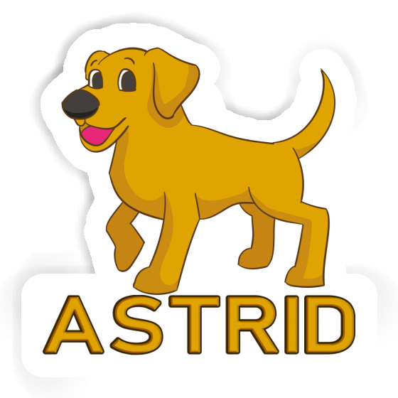 Sticker Astrid Labrador Gift package Image