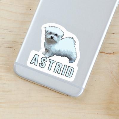 Malteserhund Sticker Astrid Image